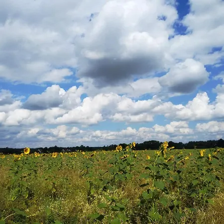 Altstadt-insel Daire