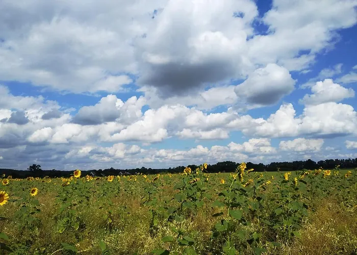 Altstadt-insel شقة
